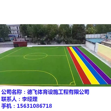 德飞体育设施工程有限公司图、中学塑胶跑道、贵州塑胶跑道(图4)