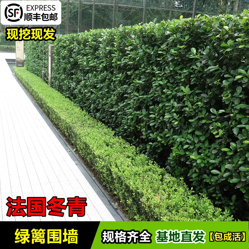 宁静小区如何从“可望”变“可及”(图1)